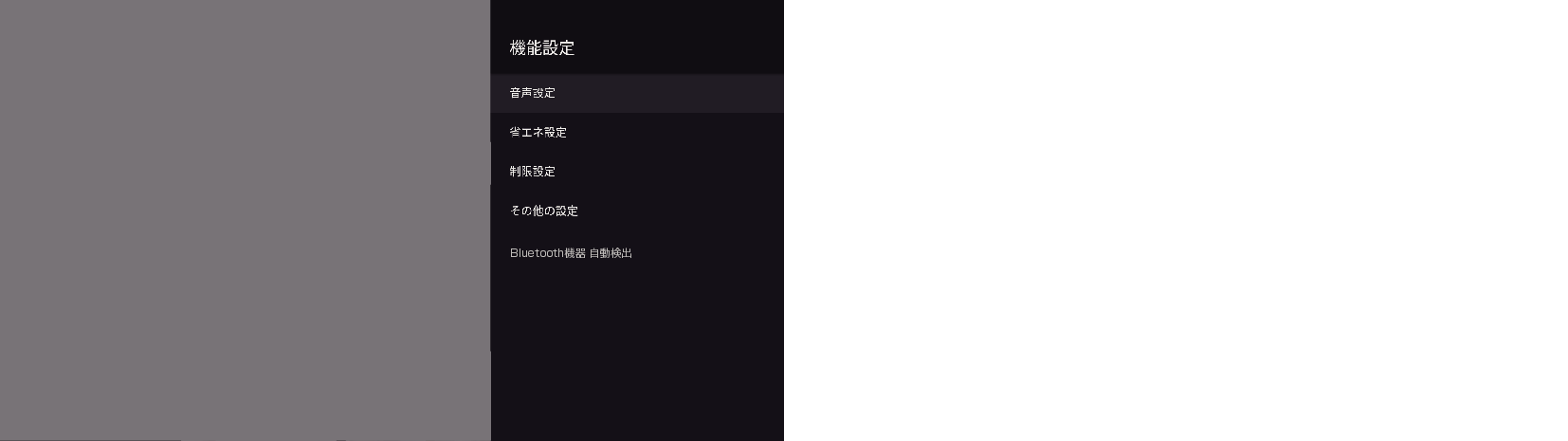 OSD_Audio out setting_7030_1